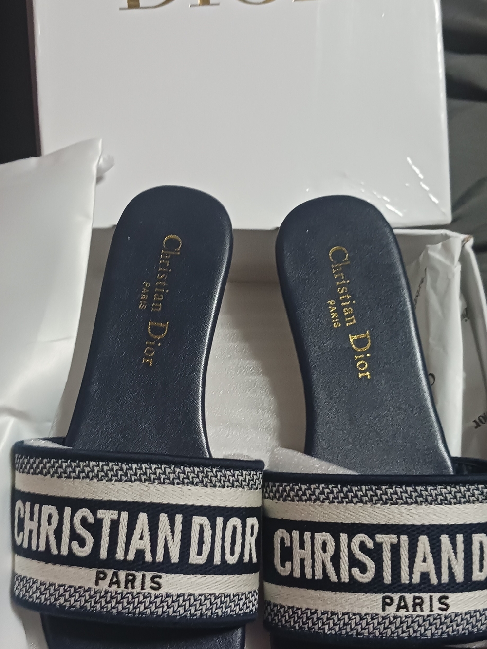 Dior Navy and White Slide Sandals - Christian Dior Paris Logo